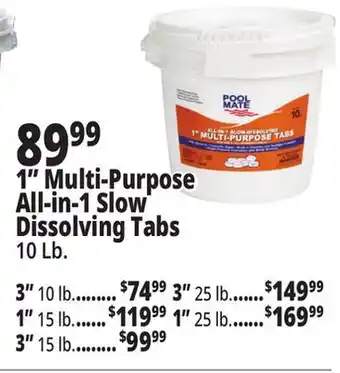 Ocean State Job Lot Pool Mate All-In-One Tabs offer