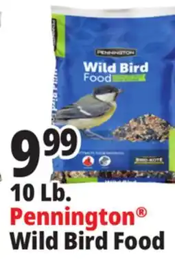 Ocean State Job Lot Pennington Wild Bird Food 10 lbs offer