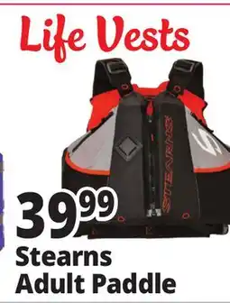Ocean State Job Lot Stearns Adult Paddle offer
