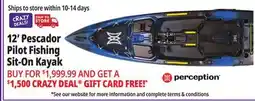 Ocean State Job Lot Perception Pescador Kayak offer