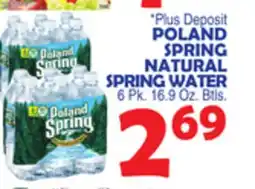Bravo Supermarkets POLAND SPRING NATURAL SPRING WATER offer