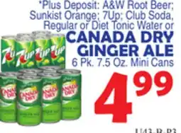 Bravo Supermarkets CANADA DRY GINGER ALE offer