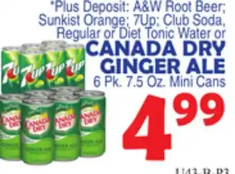 Bravo Supermarkets CANADA DRY GINGER ALE offer