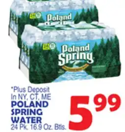 Bravo Supermarkets POLAND SPRING WATER offer