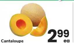 ACME Cantaloupe offer