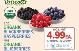 Kings Food Markets 6 OZ. BLACKBERRIES, RASPBERRIES PINT BLUEBERRIES offer