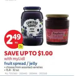Lidl fruit spread/jelly offer
