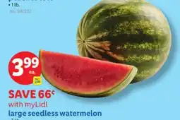 Lidl large seedless watermelon offer