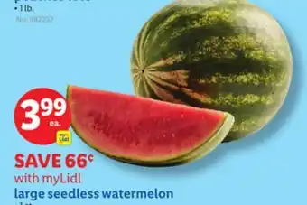 Lidl large seedless watermelon offer