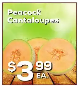 DeCicco & Sons Peacock Cantaloupes offer