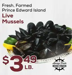 DeCicco & Sons Prince Edward Island Live Mussels offer