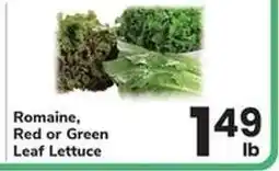 Safeway Romaine, Red or Green Leaf Lettuce offer