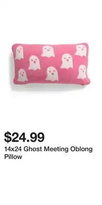 TJ Maxx 14x24 Ghost Meeting Oblong Pillow offer