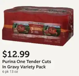 Fareway Purina One Tender Cuts In Gravy Variety Pack offer