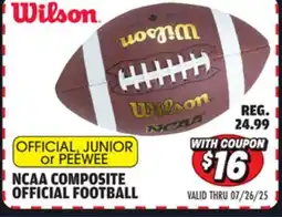Big 5 Wilson NCAA Composite Official Football offer