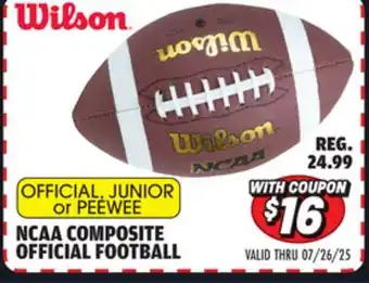 Big 5 Wilson NCAA Composite Official Football offer
