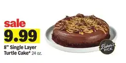 Meijer 8 Single Layer Turtle Cake offer