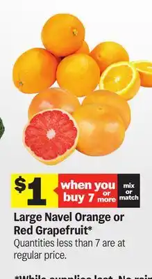 Meijer Large Navel Orange or Red Grapefruit offer