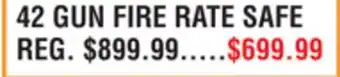 Dunham's Sports 42 GUN FIRE RATE SAFE offer