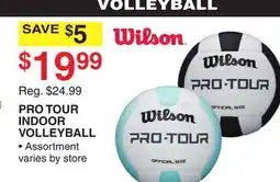 Dunham's Sports PRO TOUR INDOOR VOLLEYBALL offer