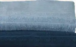 Family Dollar Interiors by Design Ribbed Plush Bath Towels offer