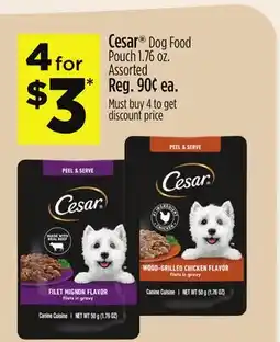Dollar General Cesar Dog Food Pouch offer
