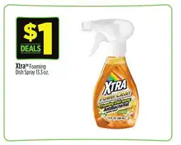 Dollar General Xtra TM Foaming Dish Spray offer