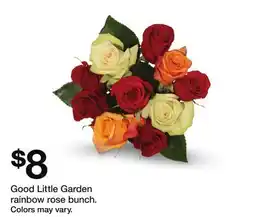 Target Good Little Garden rainbow rose bunch offer