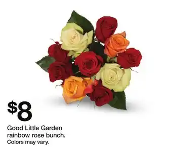 Target Good Little Garden rainbow rose bunch offer