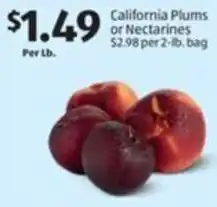Aldi California Plums or Nectarines offer