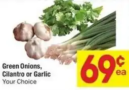 Albertsons Green onions, cilantro or garlic offer
