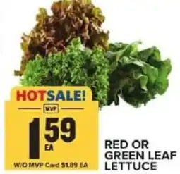 Food Lion Red or green leaf lettuce offer