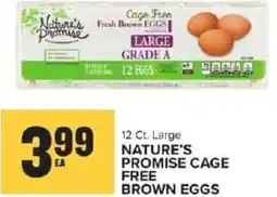 Food Lion Nature's promise cage free brown eggs offer