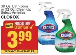 Food Lion Clorox offer