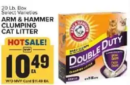 Food Lion Arm & hammer clumping cat litter offer