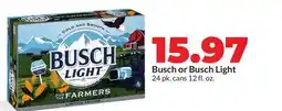 Hy-Vee Busch or Busch Light offer