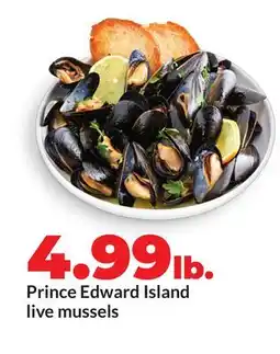 Hy-Vee Prince Edward Island live mussels offer
