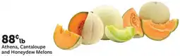 Fareway Athena, Cantaloupe and Honeydew Melons offer