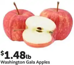 Fareway Washington Gala Apples offer