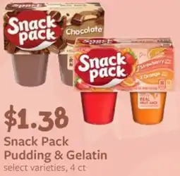 Fareway Snack Pack Pudding & Gelatin offer