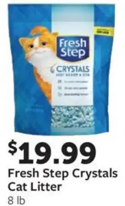 Fareway Fresh Step Crystals Cat Litter offer
