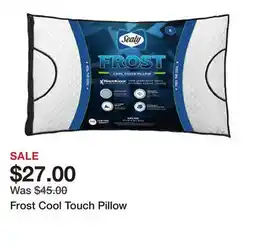 Belk Frost Cool Touch Pillow offer