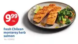 Lidl fresh Chilean monterey herb salmon offer