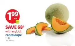 Lidl cantaloupe offer