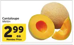 Albertsons Cantaloupe offer