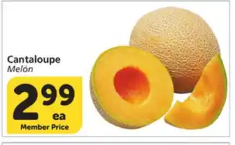 Albertsons Cantaloupe offer