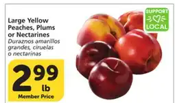 Albertsons Large Yellow Peaches, Plums or Nectarines offer