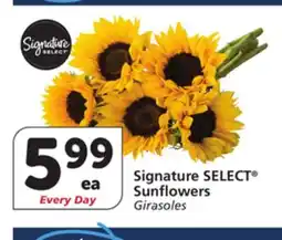 Albertsons Signature SELECT Sunflowers offer