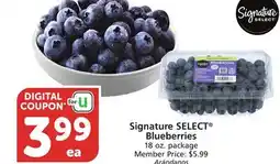 Vons Signature SELECT Blueberries offer