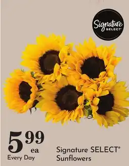 Pavilions Signature SELECT Sunflowers offer
